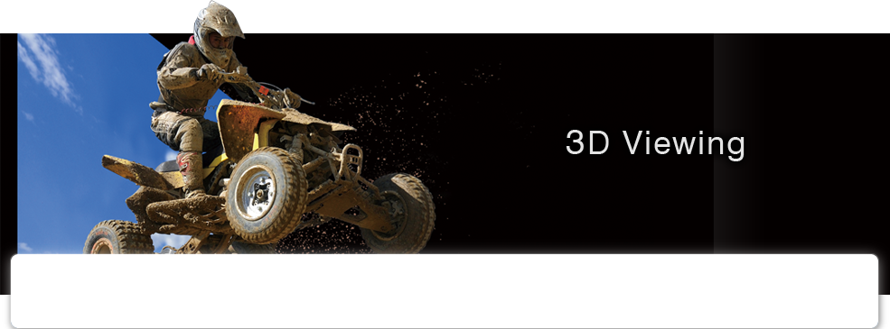 3D Viewing